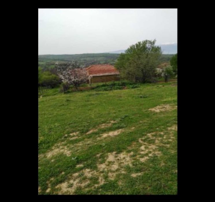 Парцел в с.Хотово 550 кв.м и къща