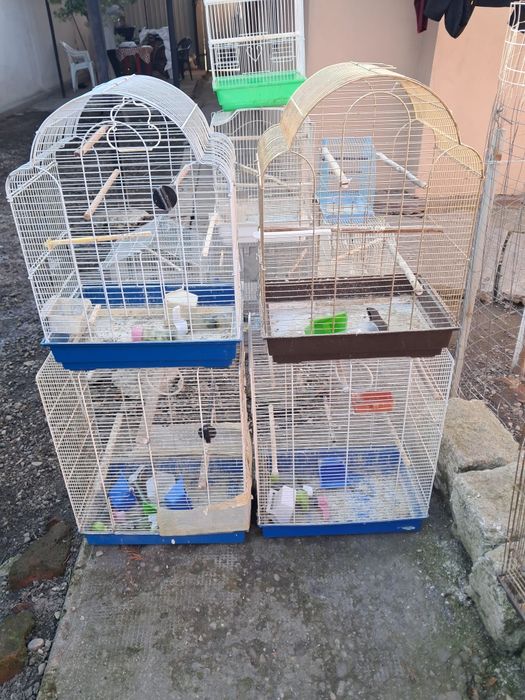 Vînd sau schimb colivii