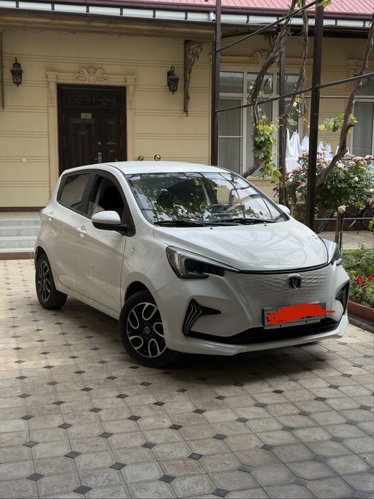 Changan E-Star plyus