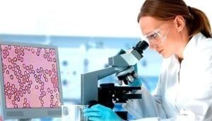 Гемосканирование крови микроскоп