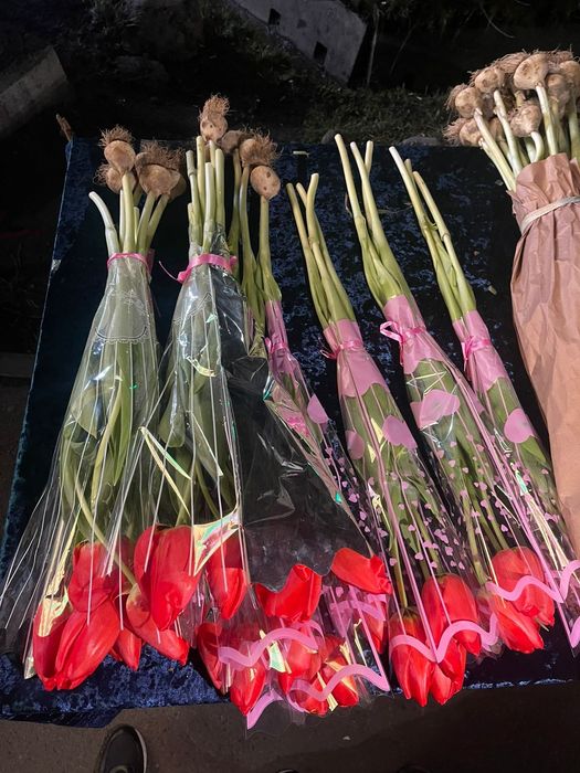 Тюльпаны Голландские