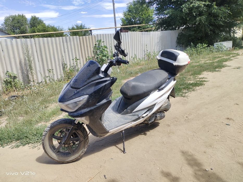 Макси 2024 годин