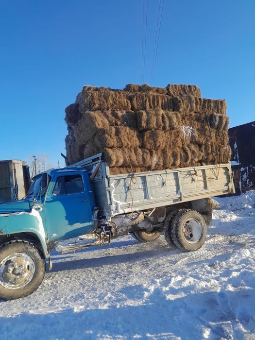 Продам тюк, сено
