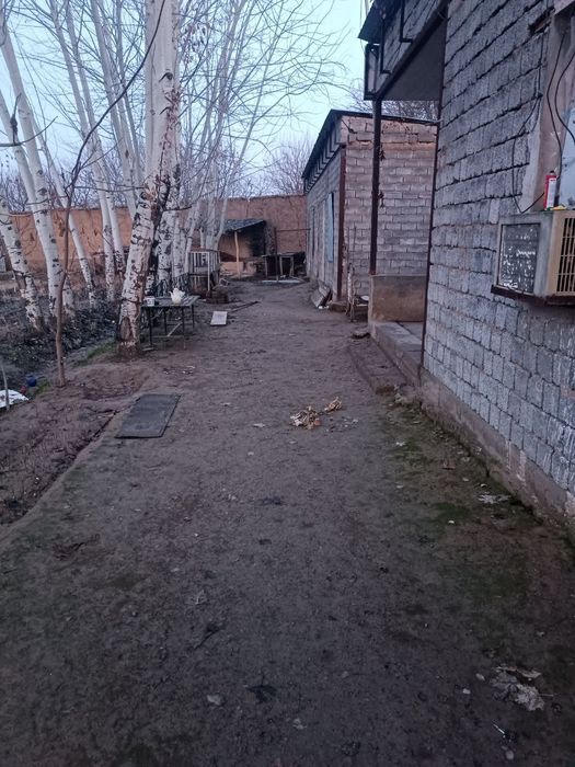 Ер, уй ижарага берилади