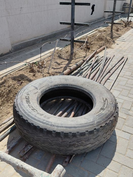 Шина и диски от SHAHMAN