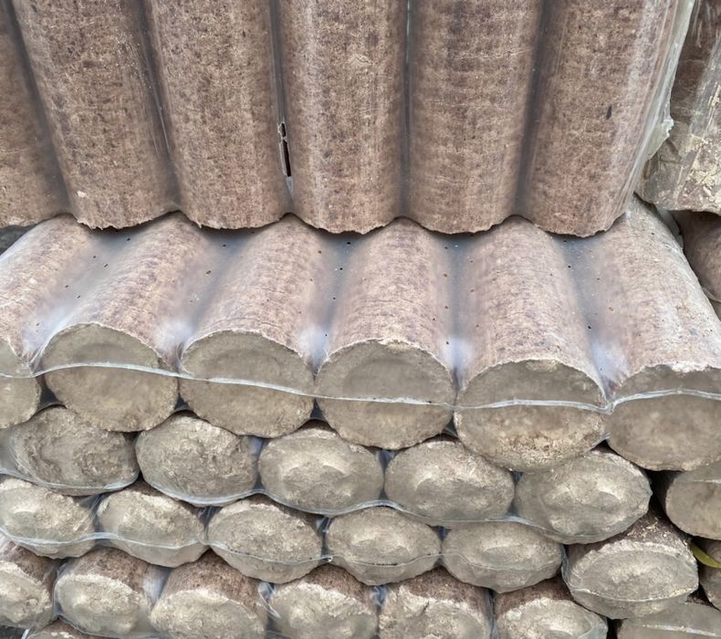 Brichete fag cilindrice//Oferta//