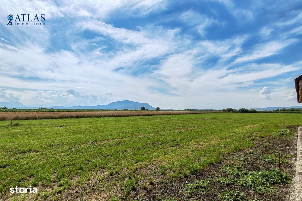 Loturi rezidențiale Cavalului, 500-700 mp, PUZ, utilități, Stupini