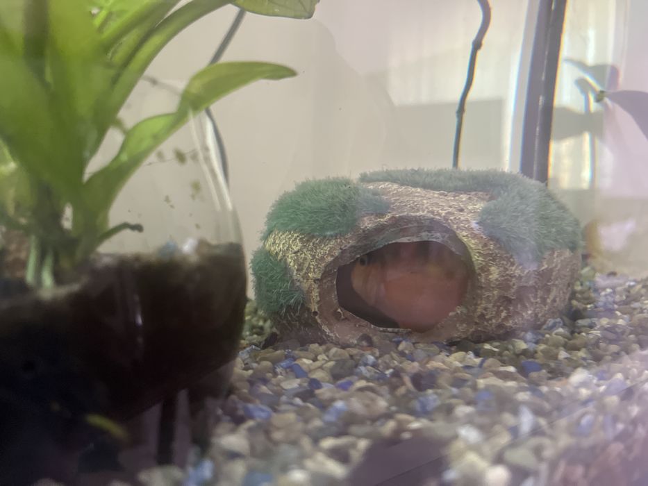 Аквариум 90л комплект