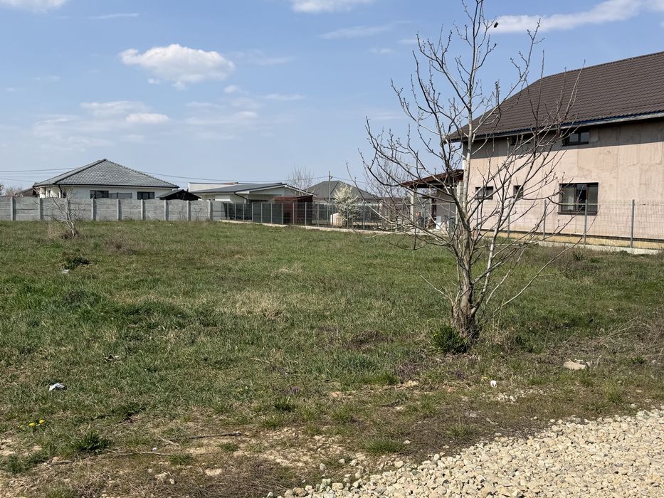 Teren intravilan 1000mp Santandrei str Macesului