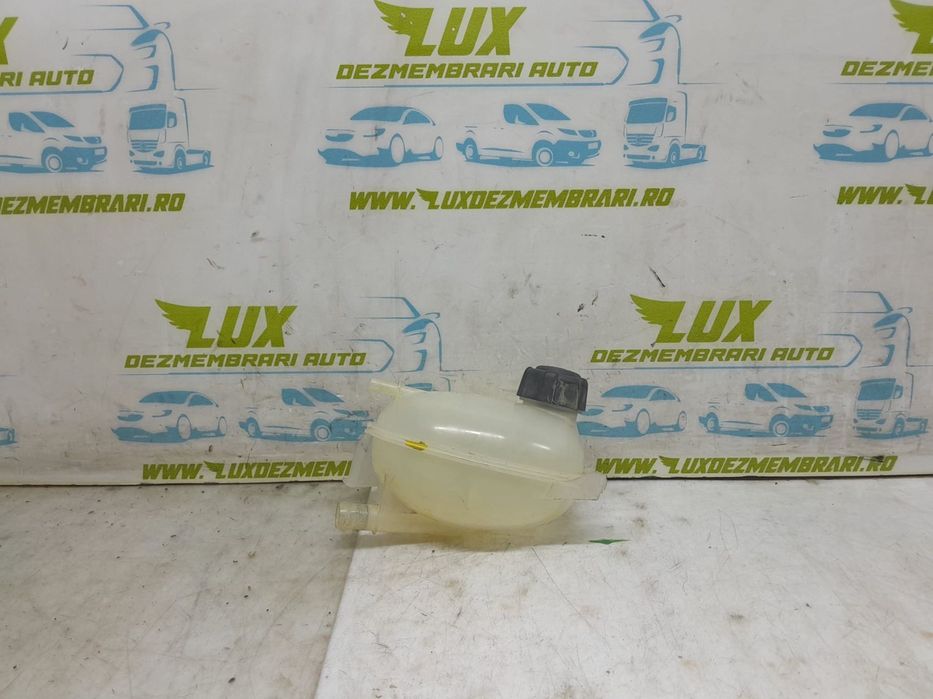 Vas expansiune 217107259r Dacia Logan 2 [2013 - 2016]