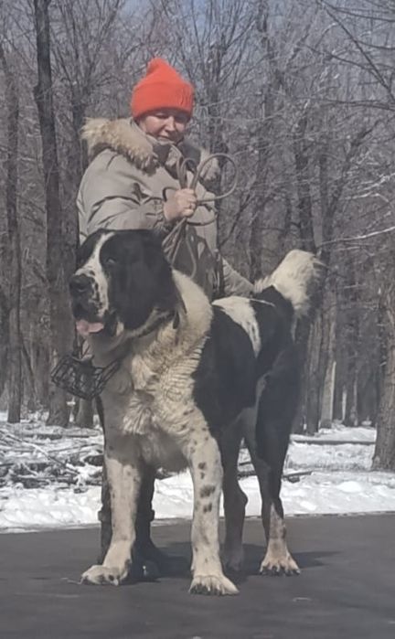 Эксклюзивные мощные супер красавицы девочки