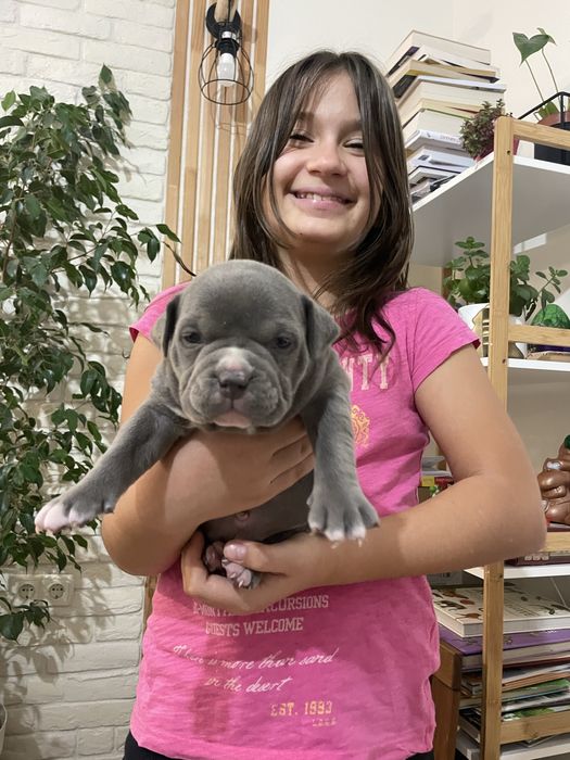 ТОП Реални ПОКЕТ Американско були / Трицветни