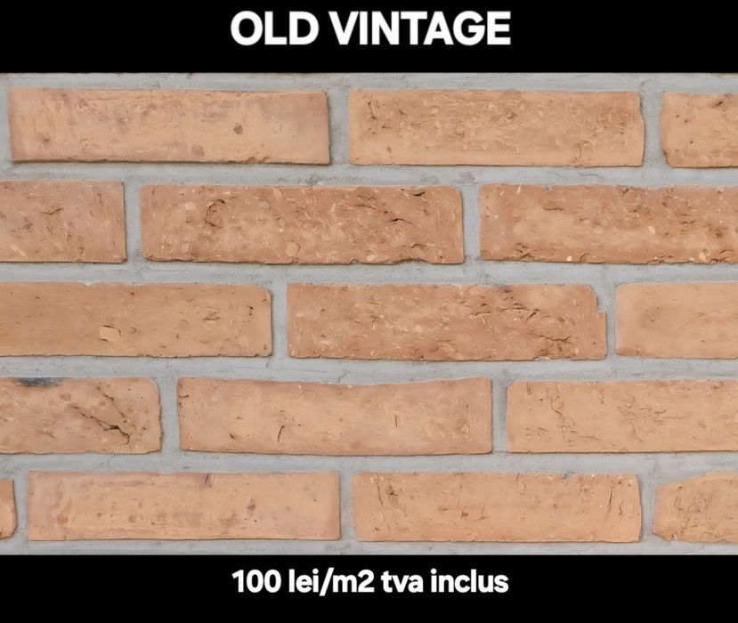 Caramida veche aparenta Bricked.ro