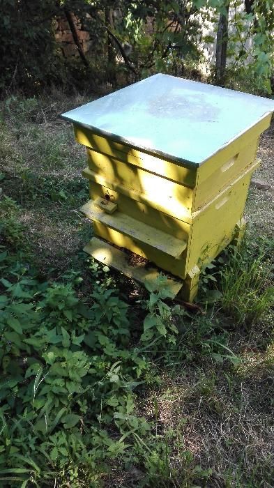 Пчелен мед/Мед перфектен, манов мед