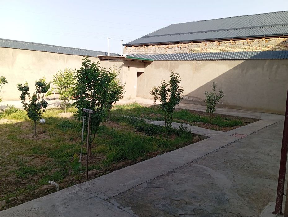 6 сотихли ховли сотилади