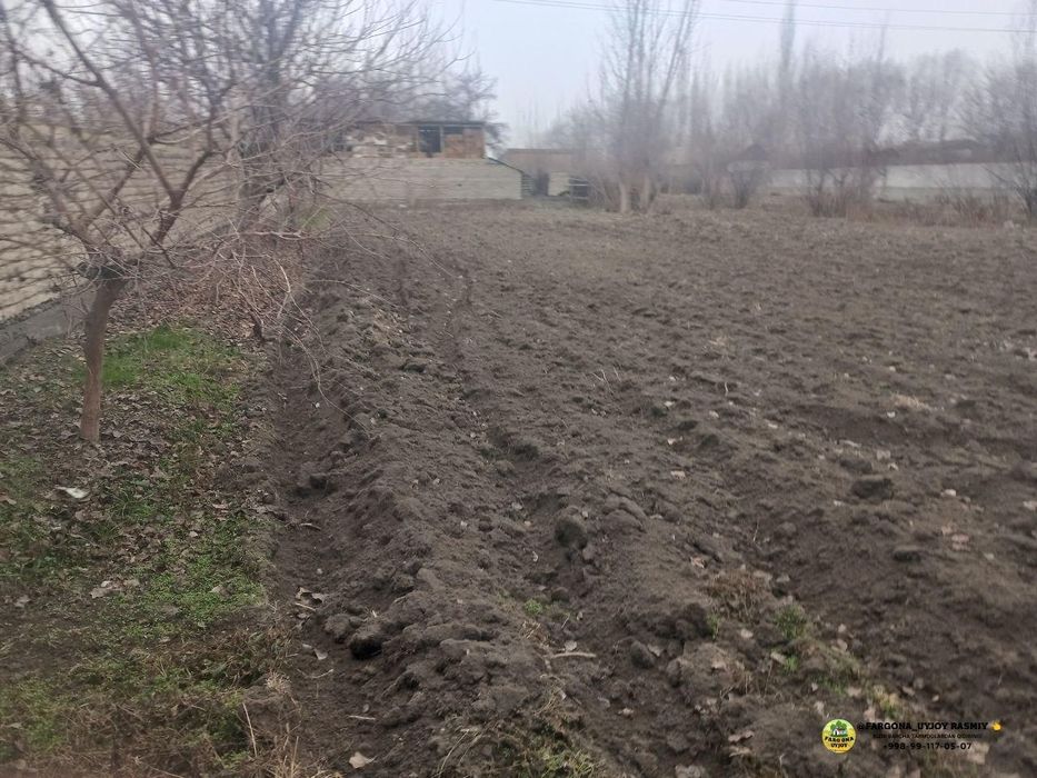 Toshloqda 10 sotx chek sotladi