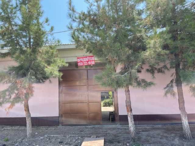 Kim Pen Xva, Tayyor hovli sotiladi, 6 sotix !     金品花 · 出售现成庭院，6亩！