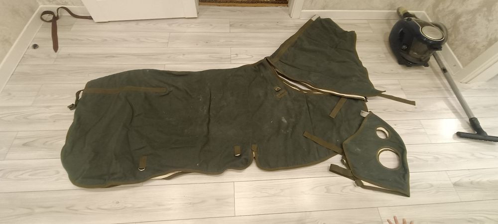 Жабу жылқы. Сапалы