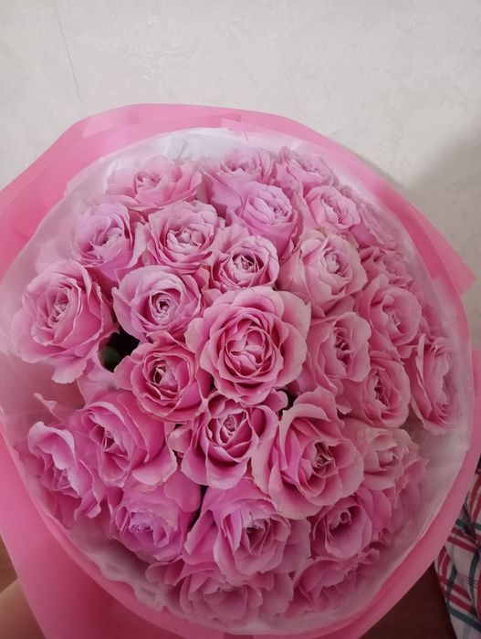 Букет из 25 розовых роз