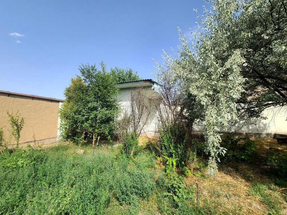 Томарка буш жой йер хисобида