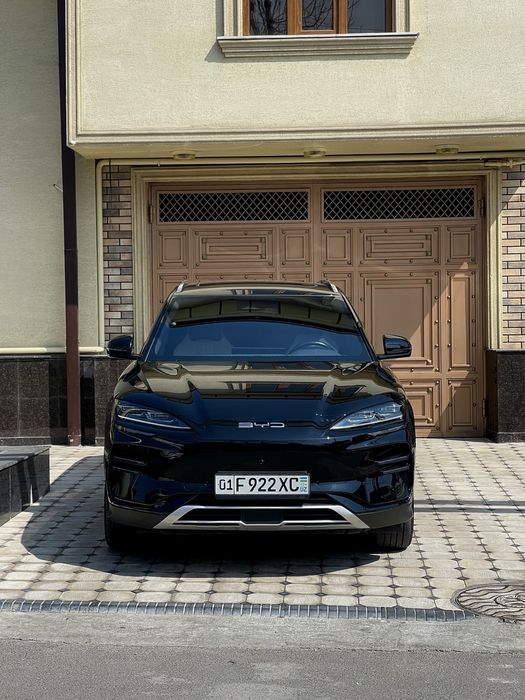 BVD chempion 605 tali toza