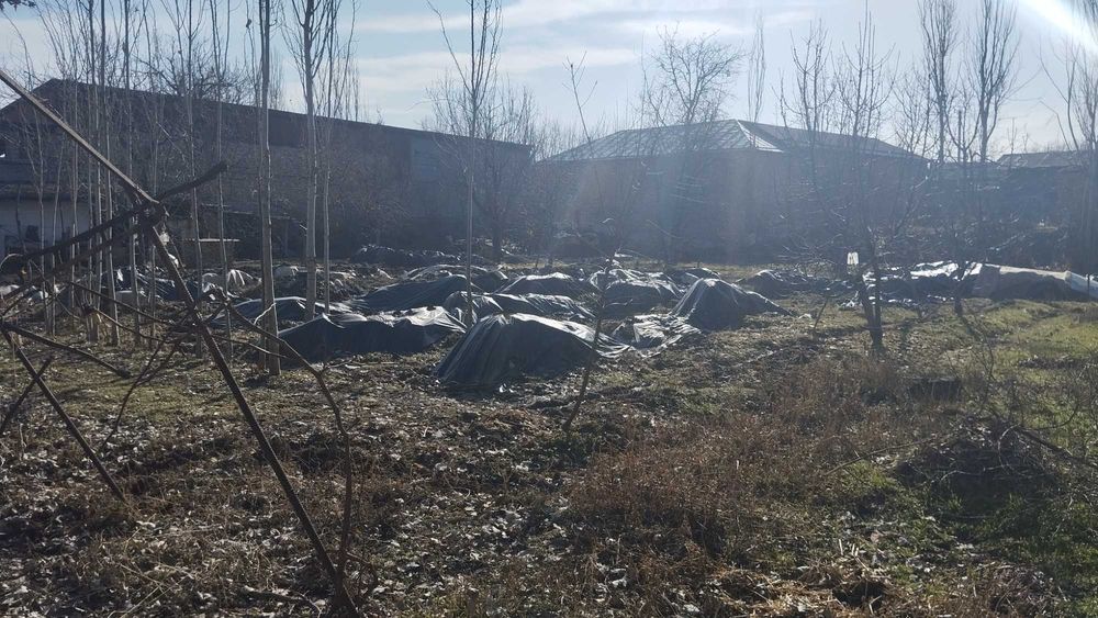 Уй сотилади Паркентда