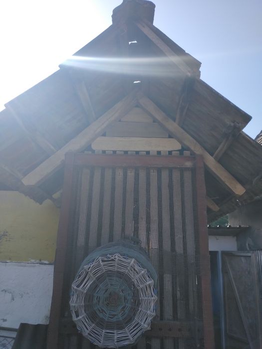 Cotarca de porumb