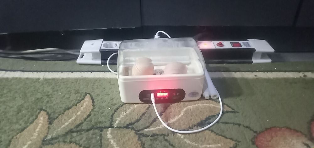 Инкубатор 1 раз пользуемся новый