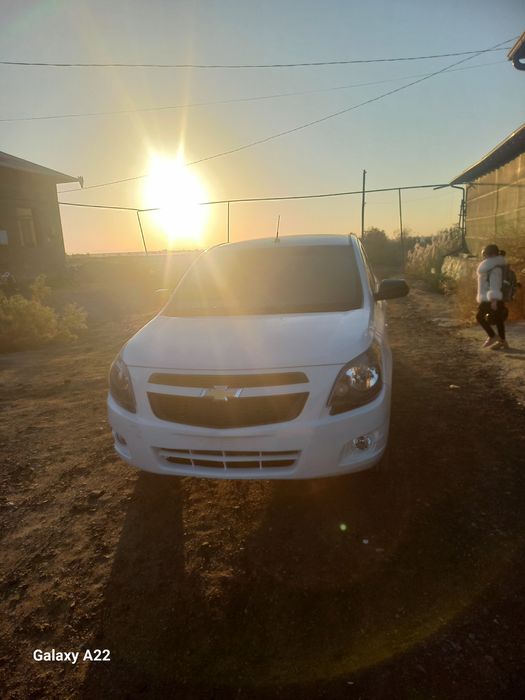 Коблт сотилади. 2025 .