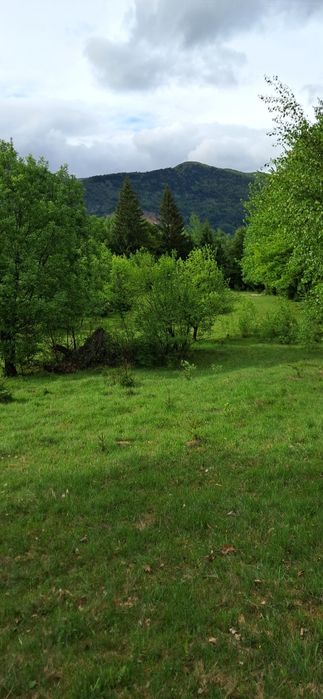 Teren intravilan