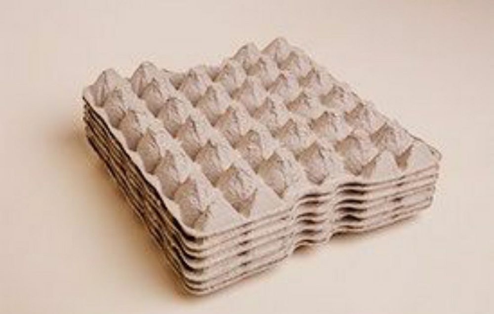 Лотки (коретки) для яиц.