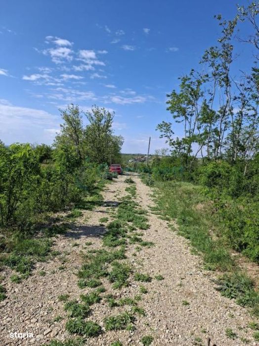 Teren intravilan de vanzare 9783 mp, in Paleu, Bihor, Gaminvest, V4749