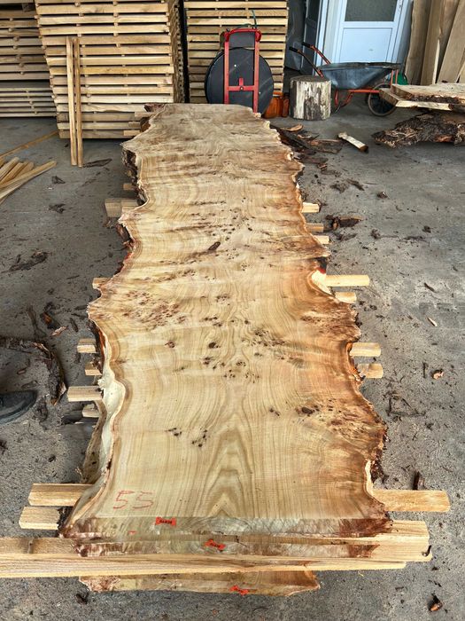 Blat plop, rasina epoxidica