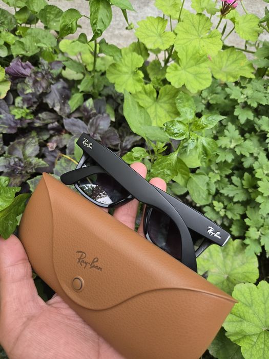 Ray Ban Meta 1 Matoviy