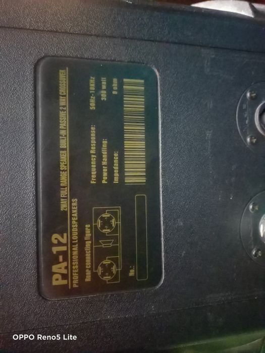 Калонка 300 ваттық