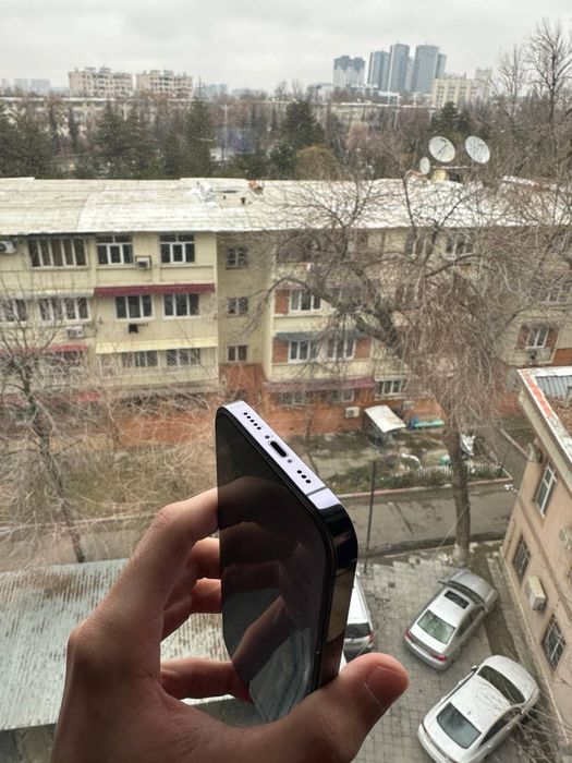 iphone 14 pro (holi bor)