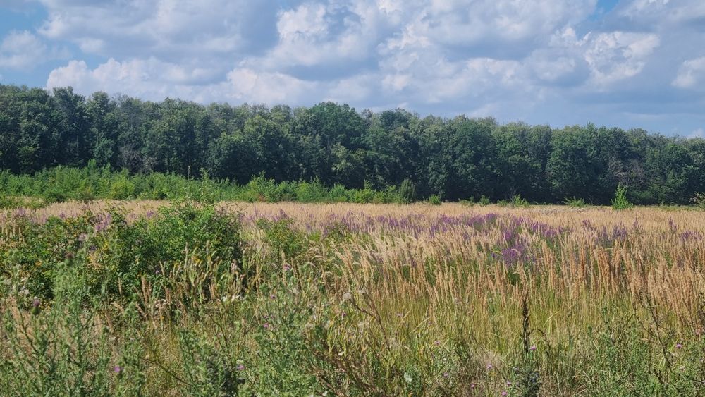 Vand teren Cosoba direct proprietar