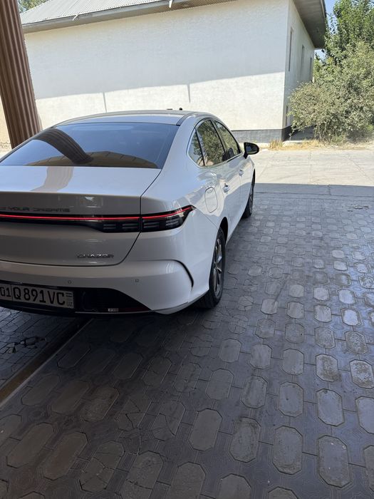 BYD Chazor Radnoy kraskada