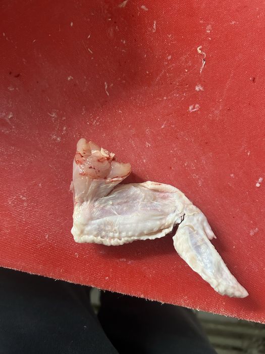 Корм для сабак кошек