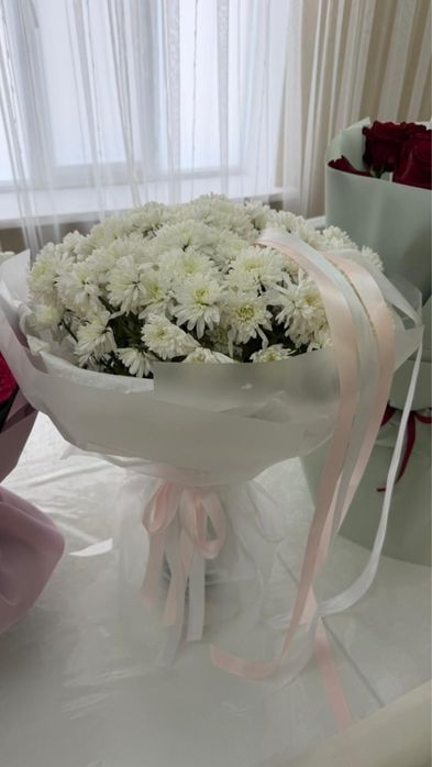 Продаю цветы свежые цены разные