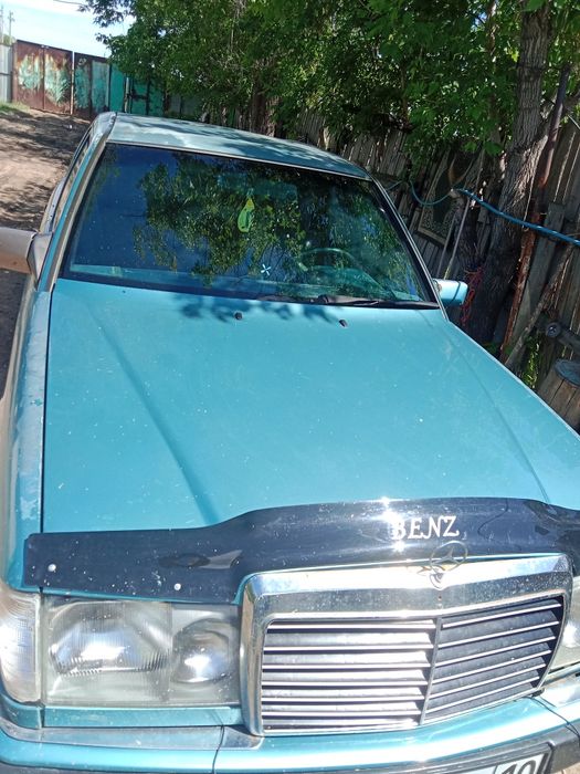 Продам немца состояние средние