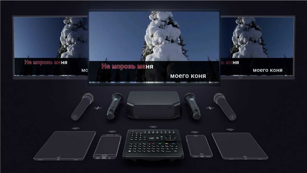 Караоке система AST Zoom2