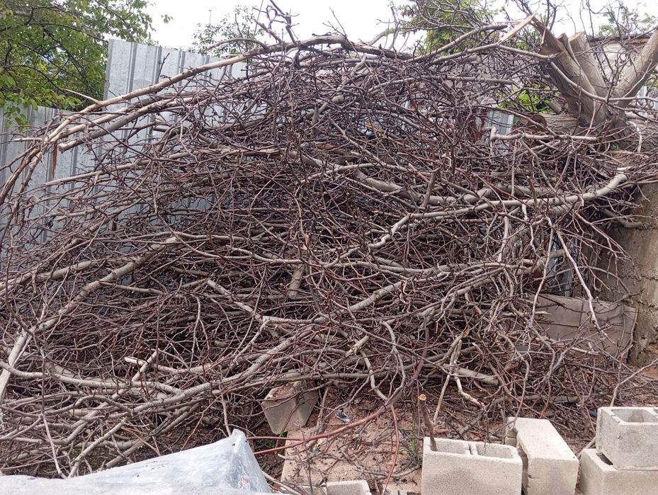 Дрова орехового дерева