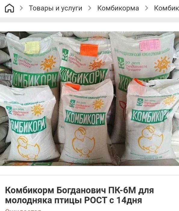 Продам стар , рост Богдановича