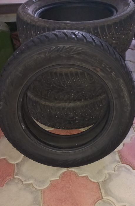 Зимние шины nexen