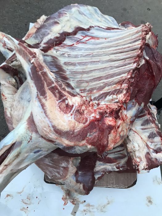Продам говядину аяқтап