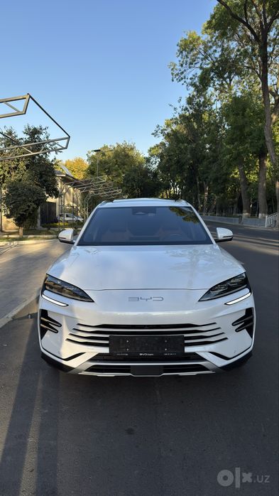 Byd chempion Dm-i