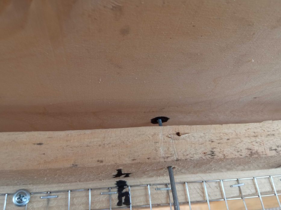 Ловушка для собак усиленная, разборная