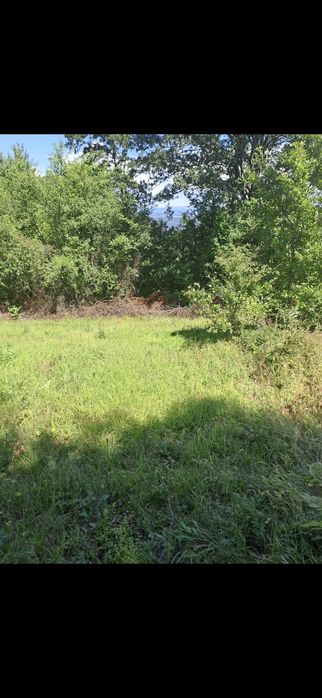 Дворно място в с. Ново Бърдо