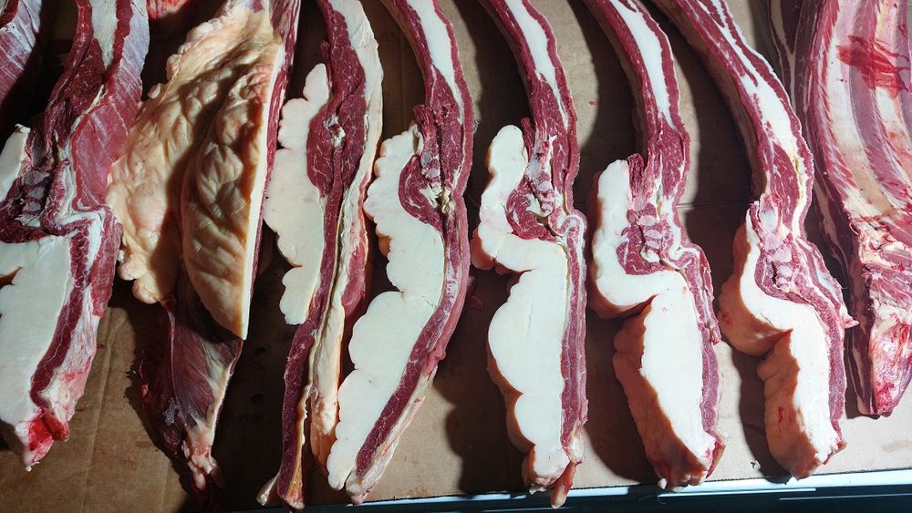 Продам конина табак, минибеш